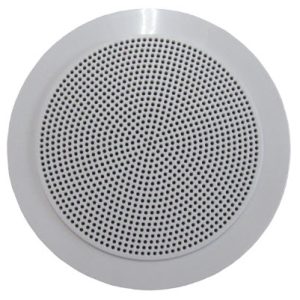 Radio - Speaker - 5 1/4" - 10W - Dual Cone  - ABS Plastic Grill - White